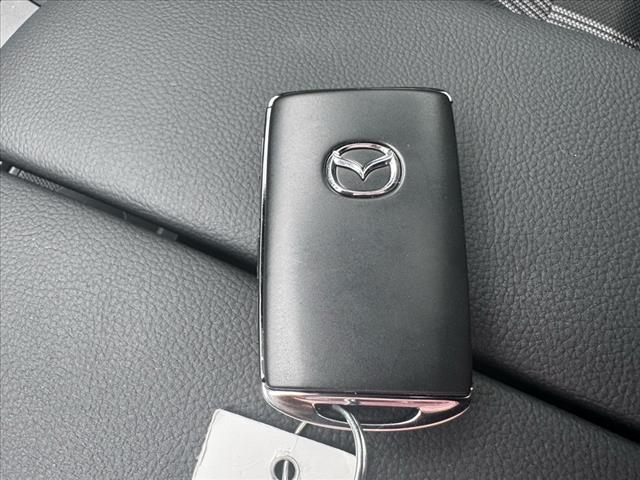 2025 Mazda CX-50 2.5 S Premium
