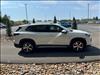 2025 Volkswagen Tiguan SE 4Motion