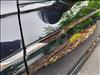 2023 Volkswagen Tiguan SE R-Line Black 4Motion