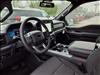 2025 Ford F-150 4WD SUPERCREW XLT