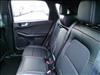 2025 Ford Escape ESCAPE ST LINE