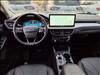 2025 Ford Escape Hybrid ESCAPE PLAT. AWD
