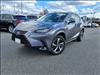 2020 Lexus NX 300