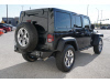 2017 Jeep Wrangler Unlimited Big Bear