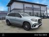 2025 Mercedes-Benz GLS