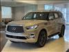 2023 Infiniti QX80