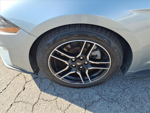 2023 Ford Mustang EcoBoost Premium:1038U