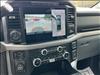 2024 Ford F-150 XLT 4WD SUPERCREW 5.5 BO