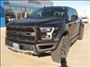2019 Ford F-150 ECOAT RAPTOR