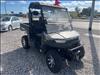 2022 Not Specified BUCK 450 EFI SIDE BY SIDE 4X4