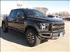 2019 Ford F-150 ECOAT RAPTOR
