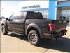 2019 Ford F-150 ECOAT RAPTOR