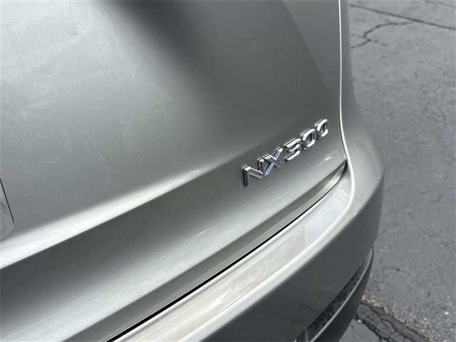 2020 Lexus NX 300 Base