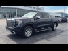 2023 GMC Sierra 1500 Denali - thumbnail 4