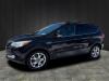 2013 Ford Escape SEL - thumbnail 1