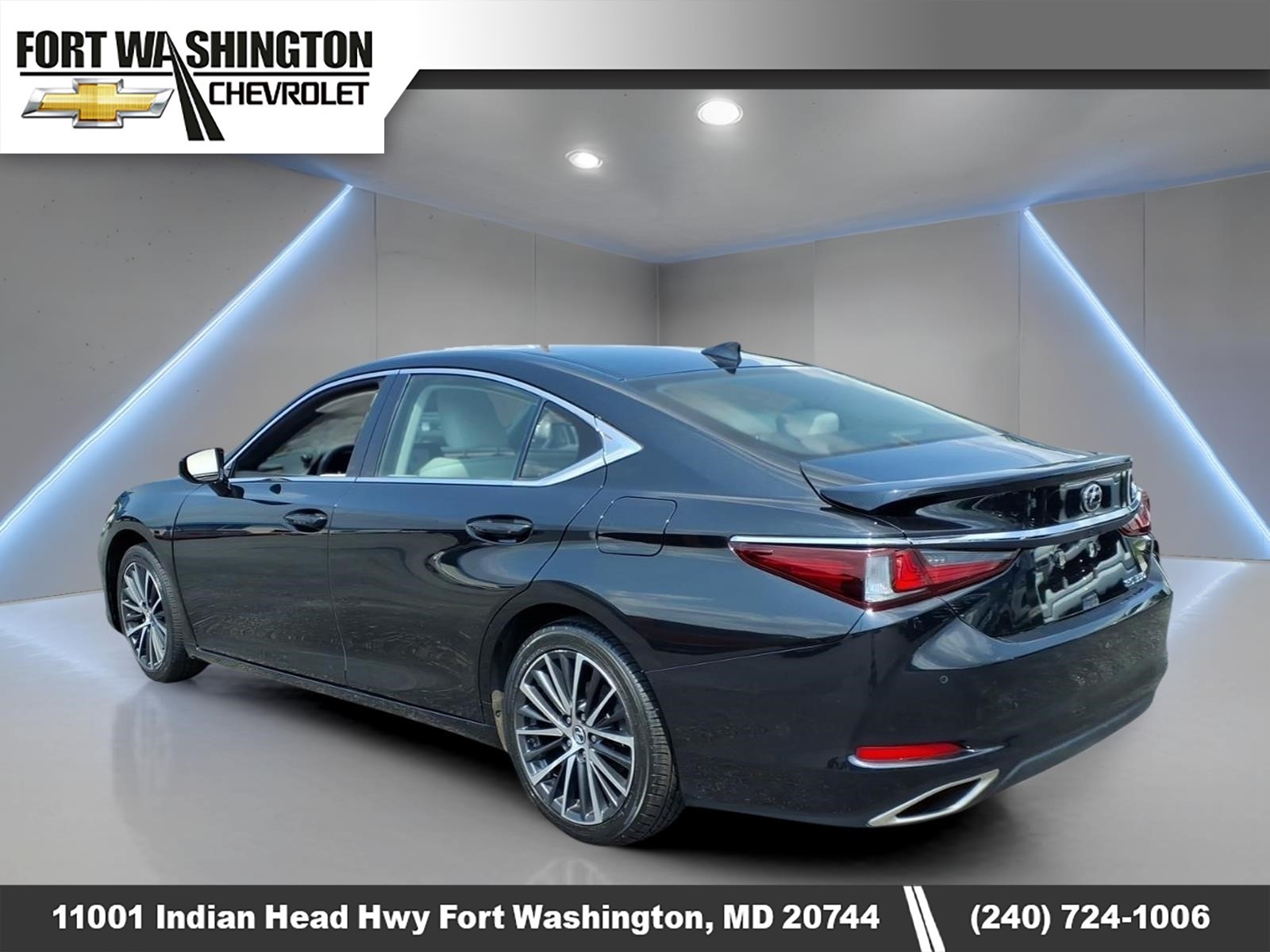 LexusES 3504