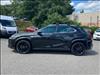 2022 Lexus UX 250h UX 250h F SPORT