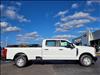 2024 Ford F-250 Super Duty XL
