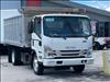 2024 Isuzu NRR LANSCAPE DUMP