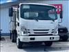 2024 Isuzu NPR XD Single Cab
