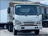 2024 Isuzu NRR LANSCAPE DUMP