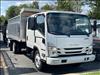 2024 Isuzu NRR Crew Gas LANDSCAPE DUMP