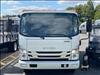 2024 Isuzu NRR Crew Gas LANDSCAPE DUMP
