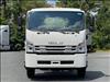 2025 Isuzu FTR Chassis