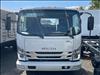 2025 Isuzu NRR Chassis
