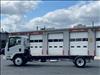 2025 Isuzu NRR Chassis Gas