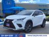 2021 Lexus NX 300