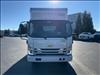 2024 Chevrolet 5500 XG LCF Gas 