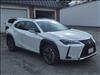 2021 Lexus UX 250h