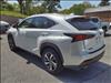 2020 Lexus NX 300 Luxury