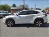2020 Lexus NX 300 Luxury