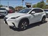 2020 Lexus NX 300 Luxury
