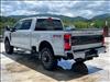 2025 Ford F-350 Super Duty Platinum