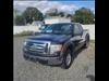 2009 Ford F-150