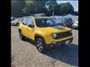 2019 Jeep Renegade Trailhawk