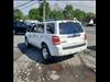 2010 Ford Escape Limited