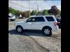 2010 Ford Escape Limited