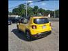 2019 Jeep Renegade Trailhawk
