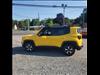 2019 Jeep Renegade Trailhawk