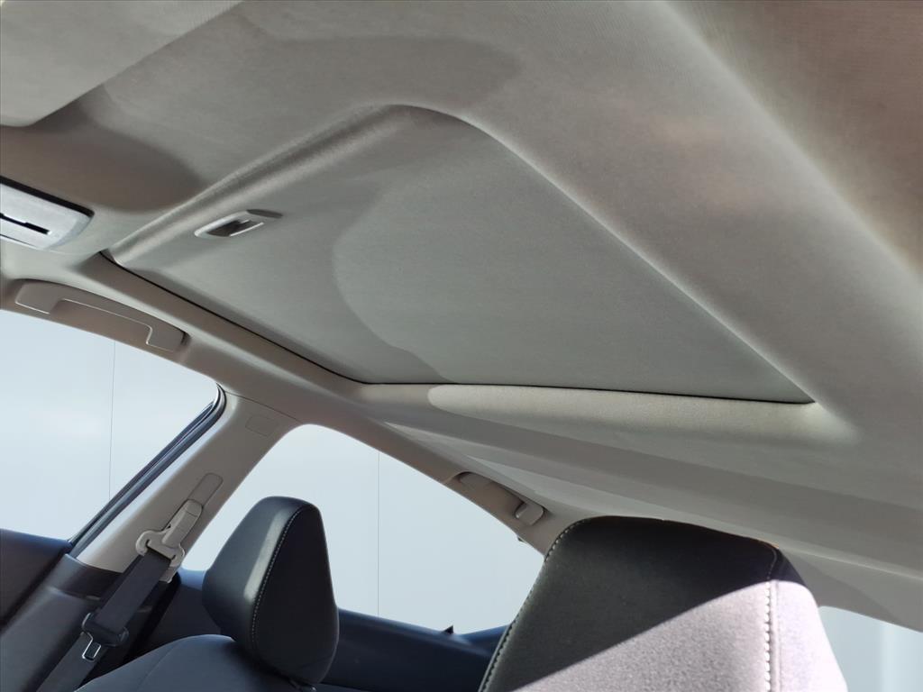 2019 Nissan Altima 2.5 SV 2019 Nissan Altima 2.5 SV