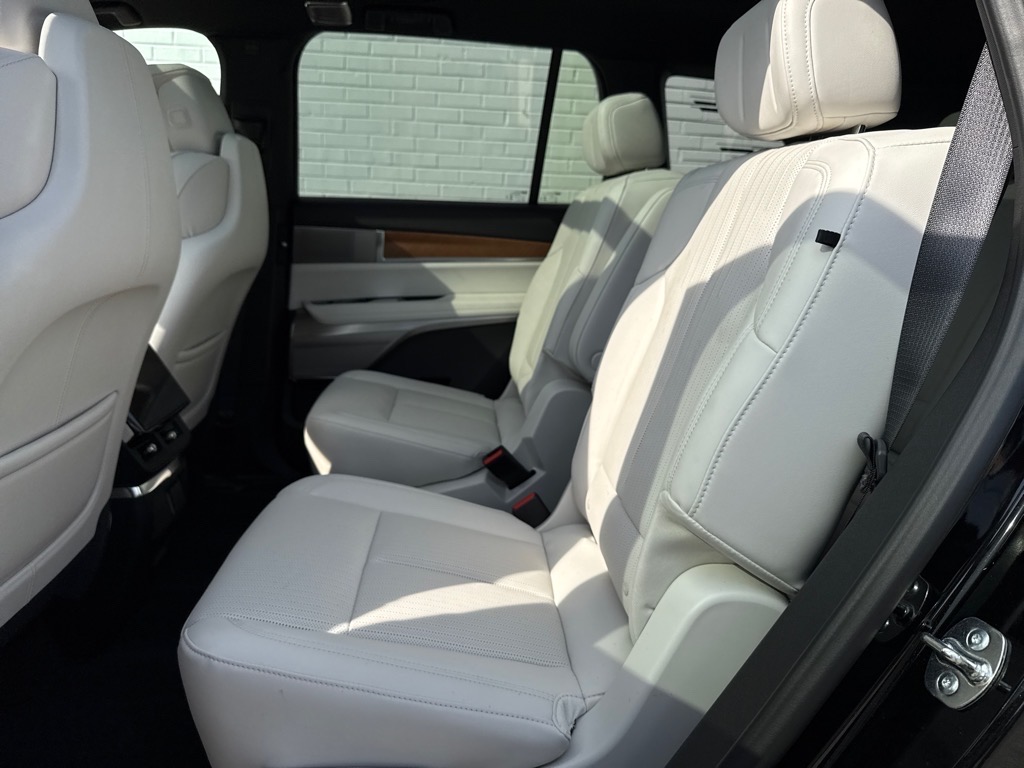 CadillacVISTIQ6