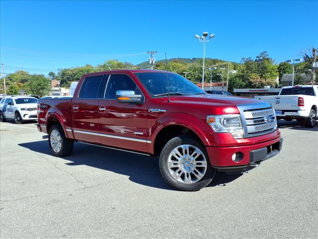 2013 Ford F-150 Platinum - Photo 2