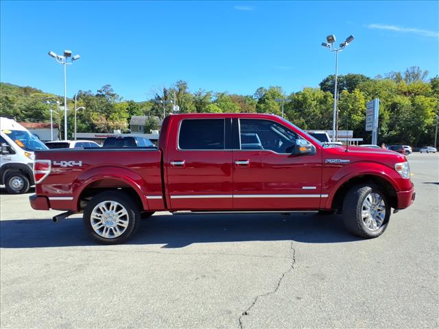 2013 Ford F-150 Platinum - Photo 3