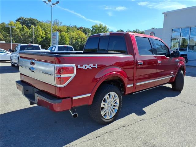2013 Ford F-150 Platinum - Photo 4