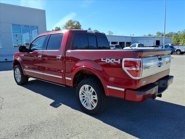 2013 Ford F-150 Platinum - Photo 6