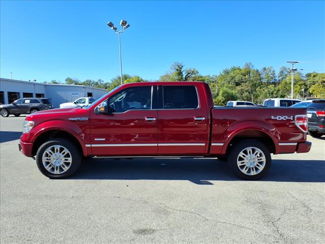 2013 Ford F-150 Platinum - Photo 7